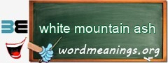 WordMeaning blackboard for white mountain ash